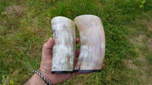 Verre à shot naturel en corne de Viking avec bouchon à paille pour les amateurs de vin, fabriqué à la main en Inde - Product Image 4