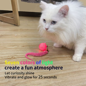 Nuovo arrivato giocattoli per gatti con piume di erba gatta interattivi per gatti da interno che fanno la colonna sonora palla erba gatta ventosa da parete - Product Image 6