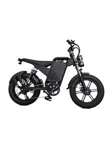 Bicicleta Eléctrica Plegable de 20 Pulgadas con Batería de Litio-Ferrofosfato, Pedaleo Asistido Electrónico, 7 Velocidades, Motor de 48V en la Rueda Trasera, Doble Motor - Product Image 6