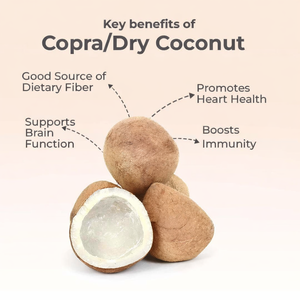 COPRA DE COCO DE CALIDAD DE EXPORTACIÓN DE VIETNAM - PRECIO COMPETITIVO/ SRA. ALINA - Product Image 2