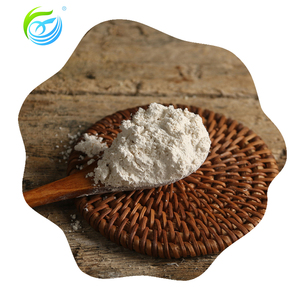 Fourniture de poudre d'arrowroot en vrac de haute qualité, poudre d'arrowroot de qualité alimentaire, Ure Natural - Product Image 3