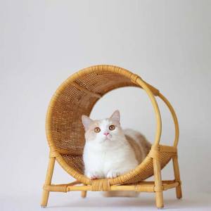Cama para Mascotas de Mimbre Natural con Toldo, Sofá Ovalado para Perros con Techo Protector Solar, Cama Transpirable para Gatos, Muebles para el Hogar - Product Image 3