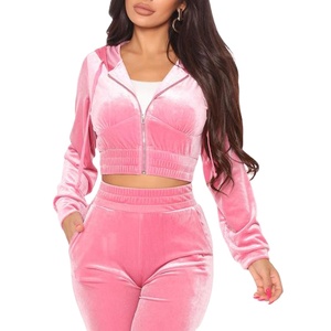 2025 nouvelle mode culture velours à manches longues fermeture éclair à capuche ensemble Logo personnalisé sport sweat et pantalons de survêtement pour l'hiver - Product Image 1