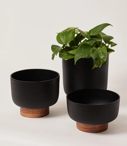 Pot de fleurs décoratif en métal, prix abordable, design créatif, moderne, simple, en métal noir, pour plantes d'intérieur et d'extérieur - Product Image 4