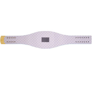 Réplica del Cinturón Legacy de los Carolina Panthers - Product Image 2