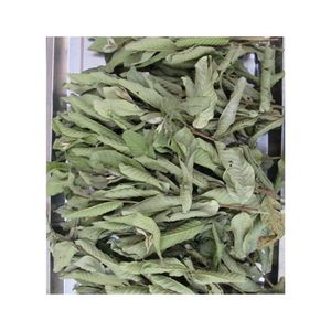 Feuilles de goyavier séchées de qualité supérieure pour les menus de salons de thé de luxe et les systèmes d'exportation en vrac intensifs - Product Image 4