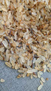 Rejet du riz d'Inde pour l'alimentation animale - Product Image 5