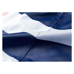 New Arrival Sporty Casual Canvas 100% Cotton Solid Shorts with <b>Elastic</b> Waist Closure Quick Dry for Men Gym Sports - Product Image 6
