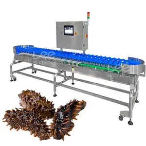 Tự động chính xác phân loại trọng lượng học sinh lớp máy trepang hải sản trọng lượng và sắp xếp máy