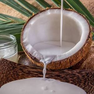Lait de coco IQF surgelé - Emballage en vrac pour la conservation de l'eau - Marque privée - Ingrédient pour services alimentaires OEM - Origine Vietnam - Product Image 2