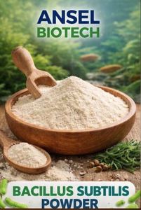 Polvo Probiótico de Bacillus Subtilis - Product Image 2