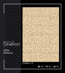 Azulejo de Porcelana de Alta Profundidad para Paredes Urbanas, 300x600mm, 30x60cm, 12x24, Acabado Mate, Texturizado, Panel Decorativo de Cerámica para Paredes Interiores - Product Image 5
