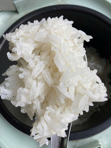 ARROZ JAZMÍN AROMÁTICO FRAGRANTE, ESPECIALIDADES DE ARROZ JAZMÍN, ARROZ FRAGRANTE DE GRANO LARGO PREMIUM, MEJOR PRECIO AL POR MAYOR DIRECTO DE FÁBRICA - Product Image 4