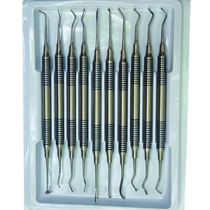 Juego de 10 Herramientas Dentales para Eliminar el Sarro y la Higiene Bucal, Kit de 10 Piezas de Acero Inoxidable para Limpieza Oral - Product Image 3