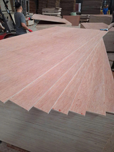 Hot Sale Natural Okoume Bintangor Wood Veneer Plywood/Acacia Plywood/Eucalyptus Plywood for Furniture Fancy Plywood - Product Image 5