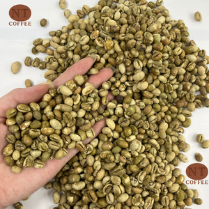 เมล็ดกาแฟเวียดนามคุณภาพสูงชนิดคูลี กลิ่นหอมเข้มข้น คาเฟอีนสูง ขายส่งจากเวียดนาม พร้อมจัดส่ง - Product Image 1