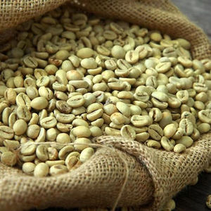 เมล็ดกาแฟอาราบิก้าเขียวคุณภาพพรีเมียม  ชนิดพิเศษ เกรดสูง  ปลูกบนที่สูง  S16 S18  แหล่งกำเนิดเวียดนาม - Product Image 3