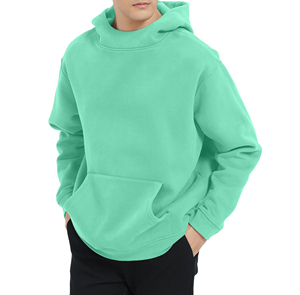 Sweat-shirts à capuche pour hommes, coupe classique, 100% coton, logo brodé, motif uni, tricotés, pour l'automne, Qianlong 200g - Product Image 2