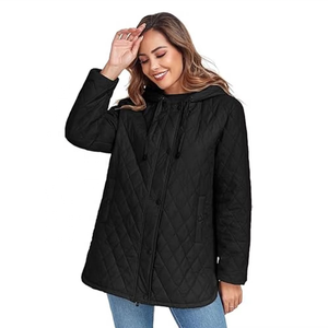 2025 vêtements pour femmes manteau bouffant à bulles femmes manteaux en duvet longue doudoune hiver à capuche doudoune femmes Style comy - Product Image 1