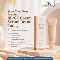 BB CC Cream Label Pribadi, Ringan, Berwarna, Alas Bedak Wajah untuk Kecantikan Sehari-hari dan Rutinitas Perawatan Pribadi