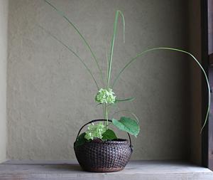 Panier de courses en osier avec poignée, fait main, vente en gros d'usine, accessoires de cuisine, fournisseur de rangement domestique - Product Image 6