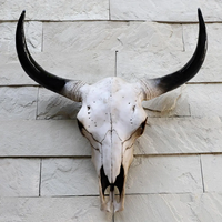 Chef-d'œuvre exquis sculpté à la main en corne de buffle et de taureau polie avec cornes majestueuses, art mural et sur pied contemporain