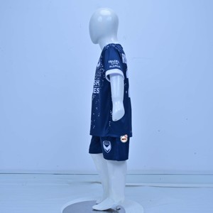 Conjunto de Camiseta de Fútbol para Niños Victory, Impresión Sublimada, Cuello Redondo, Manga Corta, Absorbe la Humedad, Corte Regular, para Todas las Temporadas, Personalizable - Product Image 3
