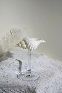 Copas de Vino Azules Skyline Populares 2026, Copas de Vino con Forma de Concha, Copas de Martini con Forma de Concha, Regalo para Damas de Honor de Boda, Despedida de Soltera - Product Image 2