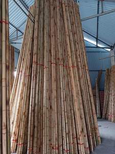 Poteau en bambou d'origine vietnamienne, matériau naturel pour la construction, la conception de meubles et l'utilisation en structure extérieure de jardin. - Product Image 6