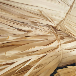 Venta al por Mayor de Hojas de Palma Secas Borassus Flabellifer en Paquetes de 10kg y 20kg, Proveedor de Materia Prima a Granel de Vietnam - Product Image 5