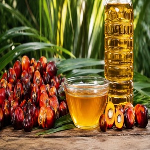 Aceite de Palma Orgánico Refinado de Alta Calidad en Tambor a Granel, Grado Premium para Aplicaciones en la Industria Alimentaria, Producción de Jabón, Uso Diario - Product Image 1
