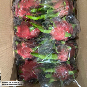 Fruta del Dragón Fresca de Vietnam, Proveedor Mayorista para Exportación - Product Image 5