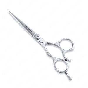 Tijeras de Barbero con Cuchillas de Precisión para Estilistas de Salón, Tijeras Profesionales para Cortar el Cabello, Acero Inoxidable de Primera Calidad - Product Image 1