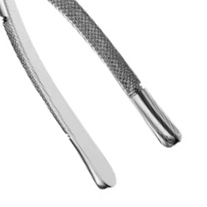 Pinzas de Extracción de Molares Superiores 10S, Instrumento Quirúrgico Dental de Acero Inoxidable, Herramienta Dental Dentada para Extracción de Dientes - Product Image 3