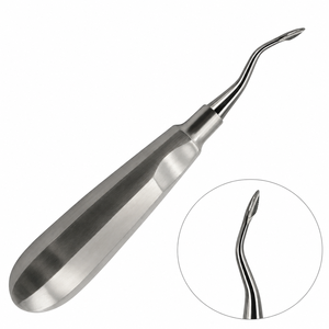 Elevador de Raíces Curvo Grande, Ergonómico, Manual, de Acero Inoxidable, Instrumento Dental para Extracción, Herramienta de Cirugía Oral - Product Image 2