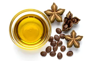 Aceite Portador de Sacha Inchi Premium Prensado en Frío, Aceite de Semilla de Sacha Inchi para Cosméticos y Cuidado de la Piel, Proveedor Mayorista a Granel - Product Image 2
