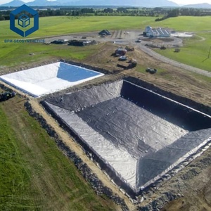 Membrana Impermeabilizante de HDPE de Excelente Impermeabilidad, Geomembrana de HDPE de 2 mm para Contención de Estanques de Residuos - Product Image 1