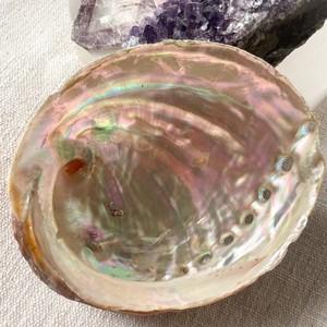 Cheap price <b>abalone</b> <b>shell</b> wholesale sea <b>shells</b> for coastal decoration natural raw seashell - Product Image 4