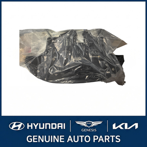 Paneles Laterales y de Cuarto de Carrocería Nuevos para IONIQ 29110G2000 - Product Image 3