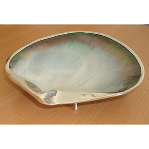 Coquille de Pinctada Margarieferra noire pour bijoux, motif artistique en argent, perle pour la décoration intérieure - Product Image 1