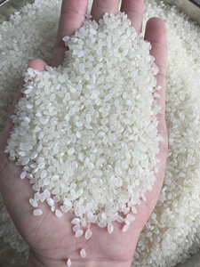 Riz japonais Shiratake (Konjac) faible en calories, riche en fibres, adapté aux diabétiques, riz instantané, commande en gros - Product Image 5