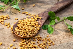 Egyptian Premium Grade 1 Dried Fenugreek Seeds High Quality Agriculture for <b>Drinks</b> Cooking HERBS GROUP Brand 3 Year <b>Shelf</b> Life - Product Image 2
