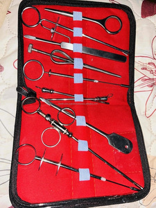 Cánula y Agujas de Alta Calidad para Ordenación de Tetinas, Juego de 10 Piezas de Acero para Ganado, Animales de Granja, Instrumentos Veterinarios - Product Image 4