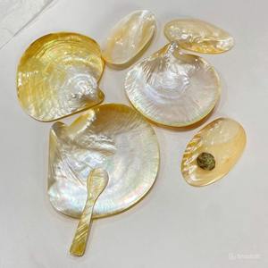 จานเปลือกหอยมุกที่เป็นเอกลักษณ์ของเปลือกหอยมุกจากเวียดนามสำหรับตกแต่งงานแต่งงานและของหวานผลไม้ที่มีสไตล์ - Product Image 4