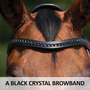 Brida de cuero para caballo con tela brillante, hebilla S.S., logotipo y colores personalizados - Product Image 2