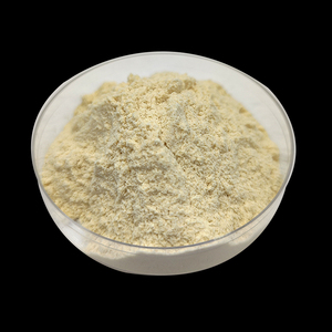 Gluten de Trigo Vital de Primera Calidad, Servicio OEM, Venta al Por Mayor, Exportación a Granel, Grado Alimenticio Premium, Suministro Disponible - Product Image 6