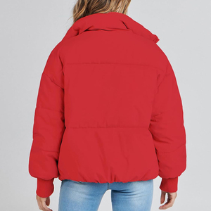 Manteaux d'hiver de haute qualité pour femmes, vente en gros, meilleurs manteaux en duvet, grande capuche en fourrure, épais, chauds, en coton, coupe-vent, grandes tailles - Product Image 4