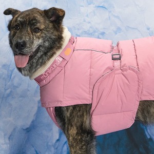 [MUNIKUND] Veste rembourrée imperméable pour chien Thermal Up Padding Air 2, manteau d'hiver en duvet végétalien, vêtements d'extérieur pour animaux de compagnie, Corée - Product Image 1
