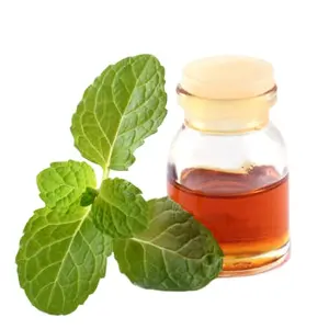 Minyak Spearmint 100% murni dan alami untuk kosmetik makanan dan Farma Kualitas Sempurna harga terbaik