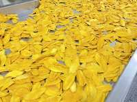 99GD Dong Nai Gedroogde Mango Slices Zoete Tropische Fruit Snack Zachte Kauwbaar Vacuüm Verpakt Vietnam